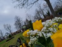 ein Bild aus dem Album