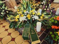 das zu meldende Bild