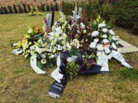 das zu meldende Bild