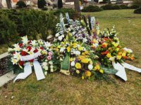 das zu meldende Bild